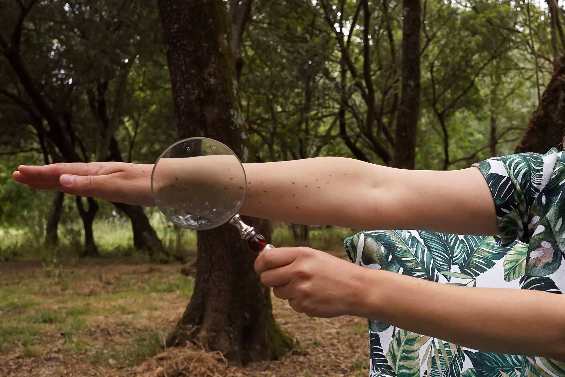 Atelier ENQUANTO A GENTE BRINCA ASSIM, NÃO SE SENTE MAIS SOZINHA