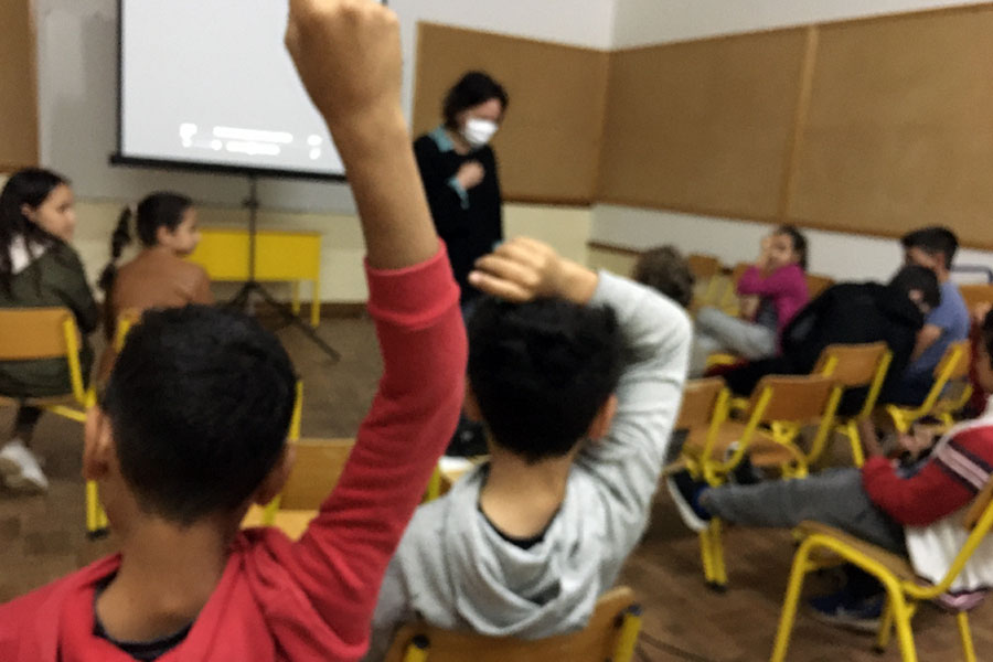 THE DISCOVERY OF CINEMA - Film sessions for the little ones